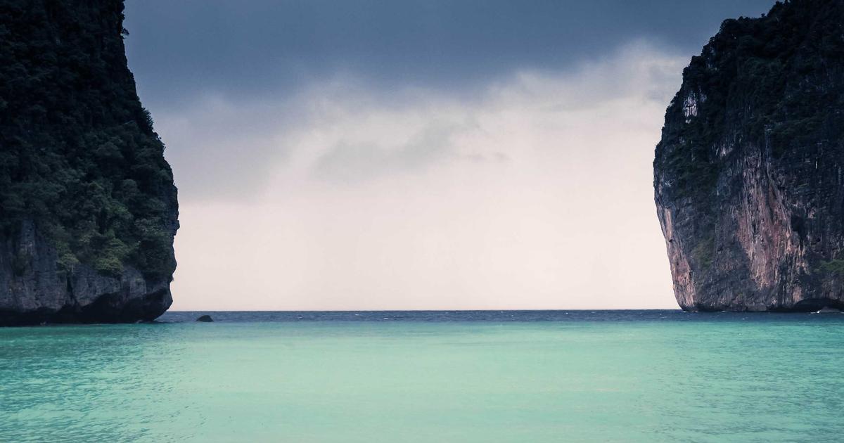 I Grew Lions Mane for the First Time Last Winter