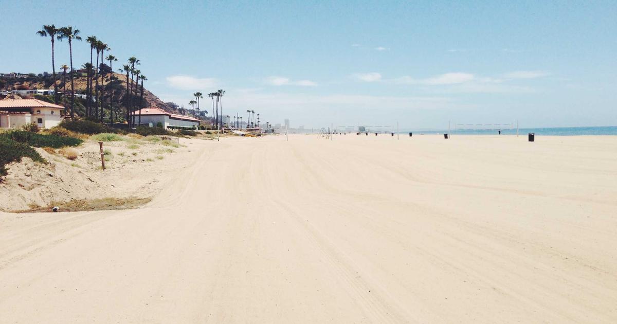 Mushroom Contamination: Why It Happens and How to Stop It