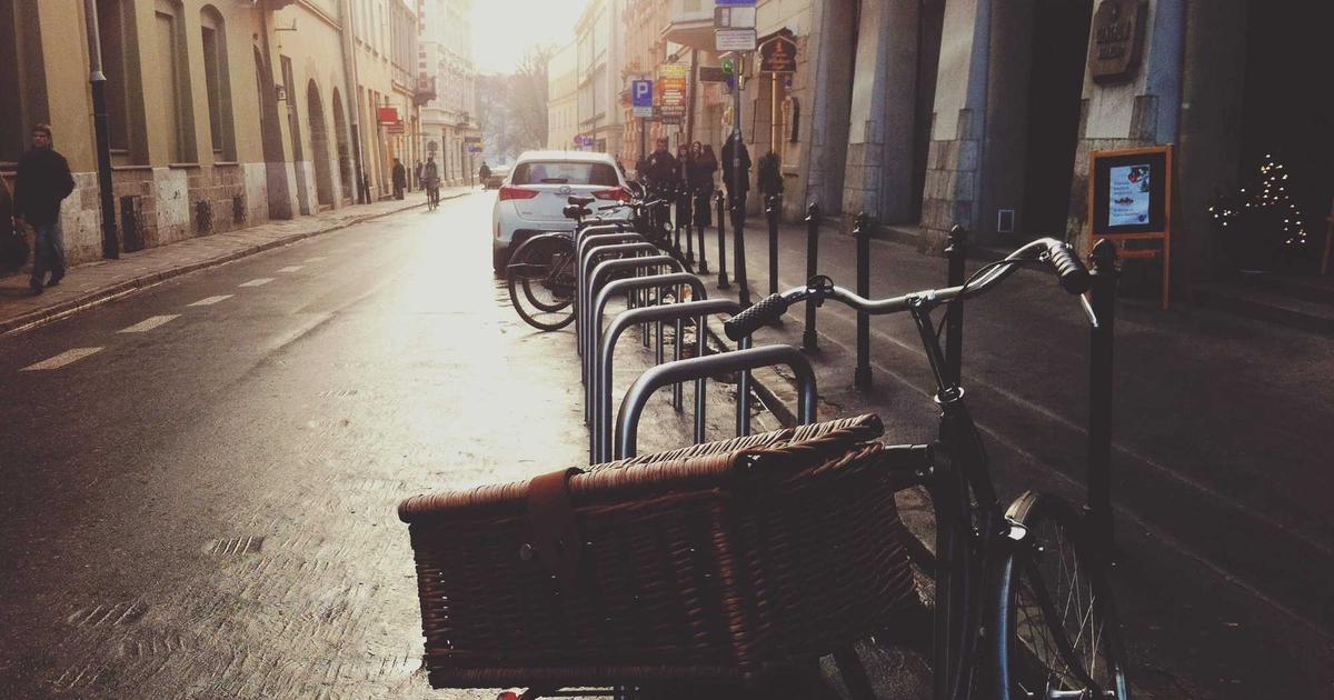 Oyster vs Lions Mane: Which Should You Grow First?