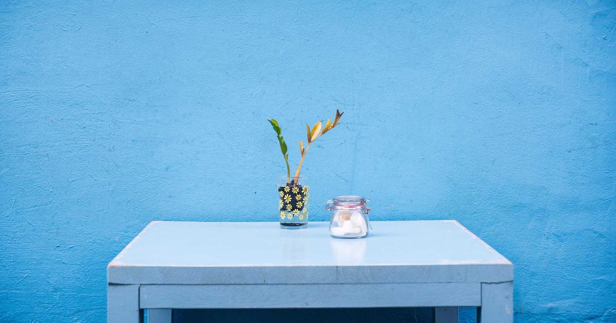 The Substrate Science Behind Oyster Mushroom Yields